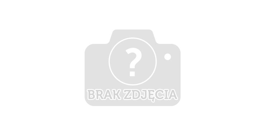 Koncert Darii Zawiałow i zespołu Mr. Zoob w Amfiteatrze w Koszalinie