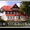 OW STOKROTKA