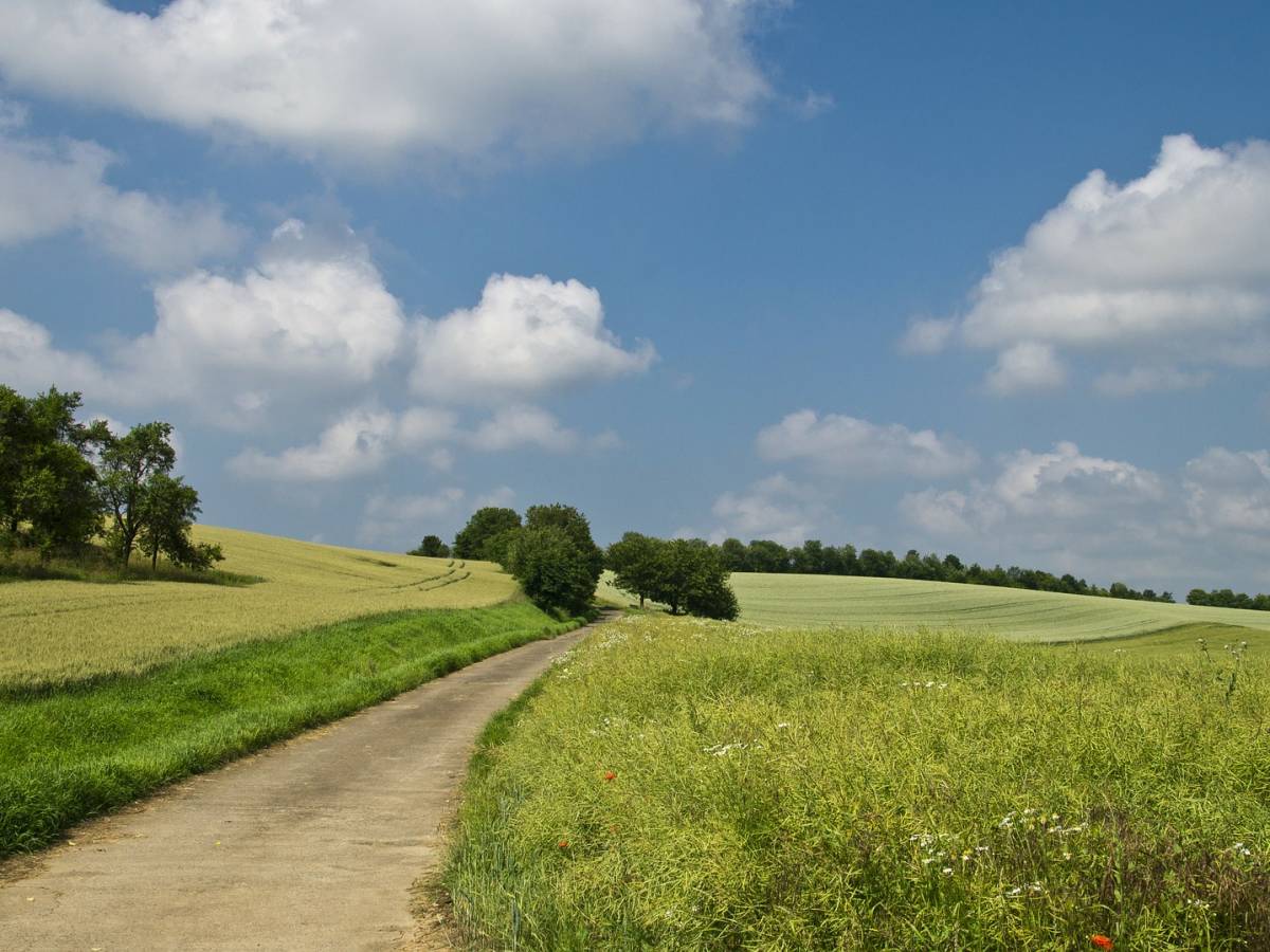 Dzień Prewencji 2016 w Rowach