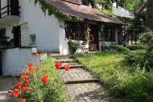 Apartament u Izy