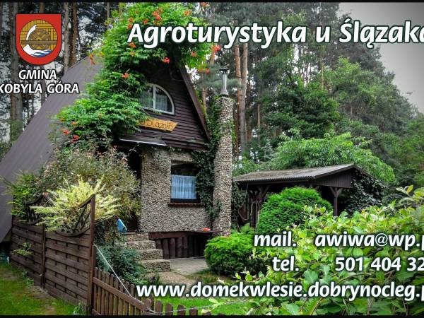 Domek Letniskowy-Agroturystyka u Ślązaka Domek Letniskowy-Agroturystyka u Ślązaka