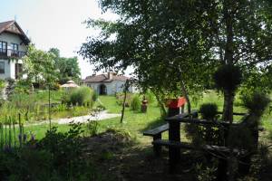 Ługi