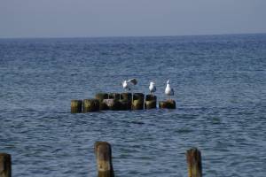 Baltic Bay