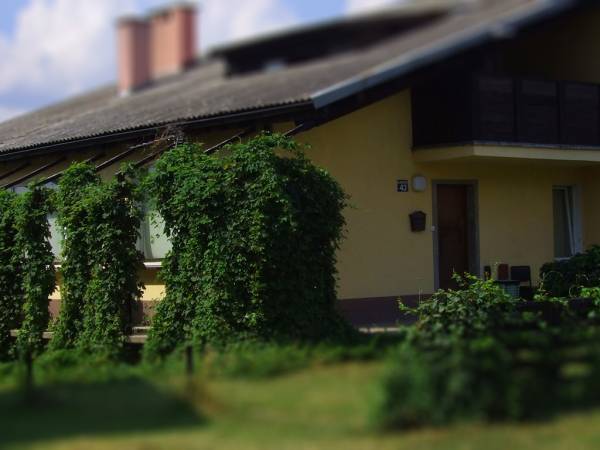 Noclegi Pracownicze