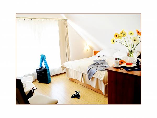 Apartamenty Pod Lwem Apartamenty Pod Lwem