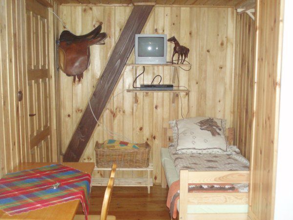 Gospodarstwo agroturystyczne - stadnina koni U Gazdy
