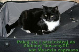Pokoje nad Zieloną Tawerną