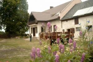 Kożuchów