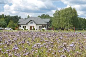 Lipowiec