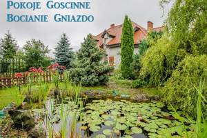 Bocianie Gniazdo