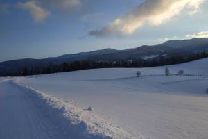 Nowy Sącz