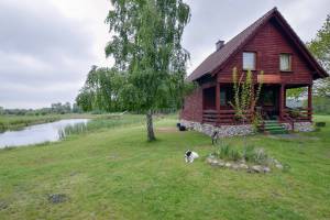 Brzezinki