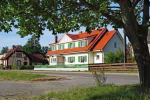 Zielony Kot