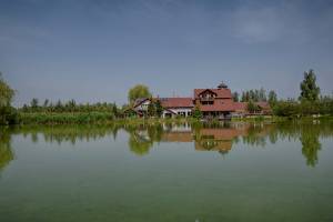 Gryfów Śląski