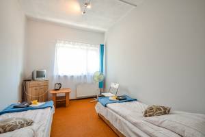 Hostel VIOLA