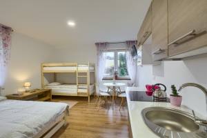 Apartamenty Za Świerkami w Tyliczu
