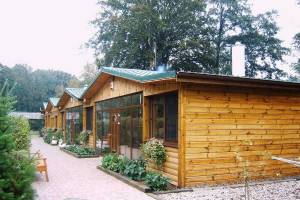 Siecino