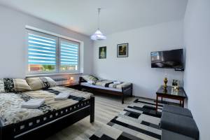 Ceglany Apartament