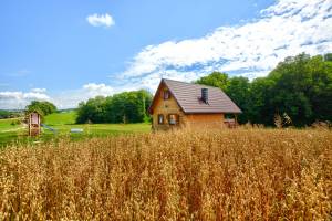 Gorlice