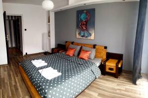 Art Apartament 2 Ustrzyki Dolne