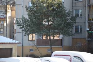 Apartament JANEK