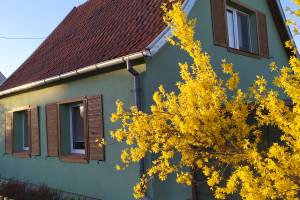 Zacisze Na Mazurach