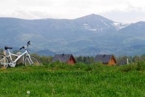Łomnica