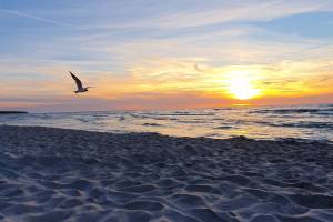 Apartamenty DORMARE