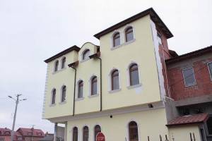 Drzewica