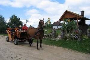 Jenorajście