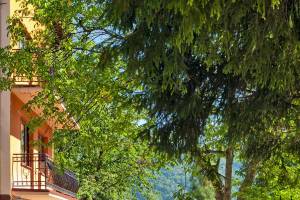 Apartamenty Ustroń - Bażancia Chatka