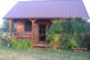 Chojnów