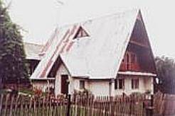 Wojnicz
