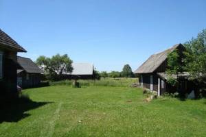 Borowskie Żaki