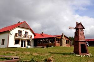 Borowina