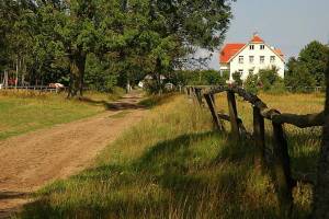 Przewłoka