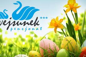 Pensjonat i Domki Letniskowe Wejsunek