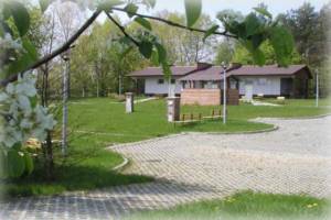 Drzonków