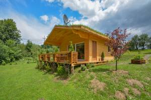 Olchowiec k/soliny