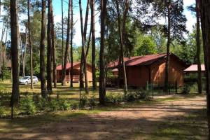Przydwórz
