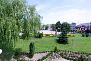 Świdnik