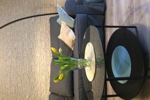 Apartament Elie