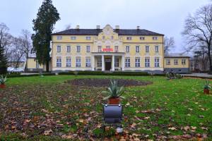 Witaszyce