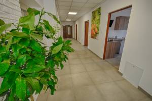 Hostel Orange Tree