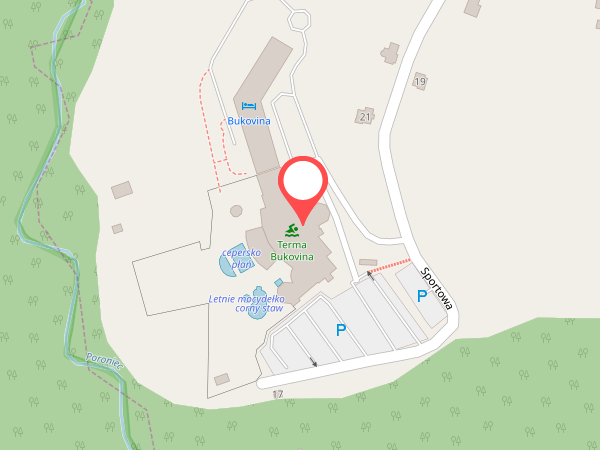 Aquapark Terma Bukowina