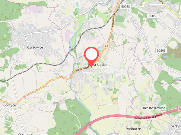 Kamera Turza Śląska, DK 78