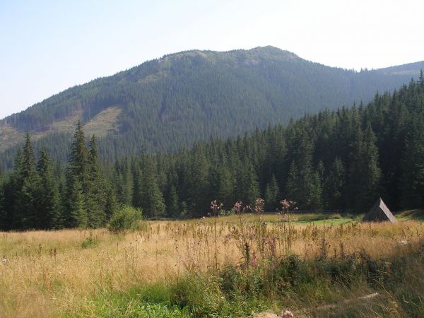 Kamera Zakopane, Nosal Kamera Zakopane, Nosal