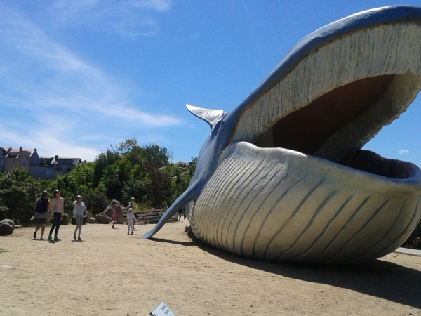 Ocean Park