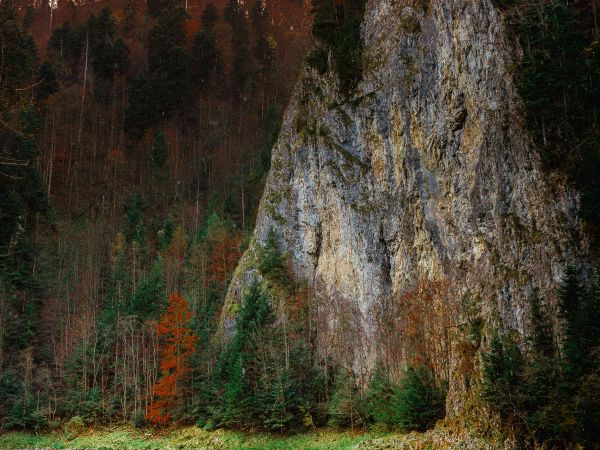 Cd. Pieniny jesienią...