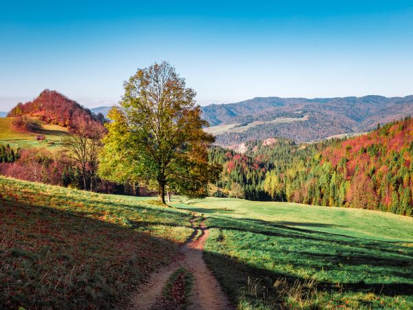 Cd. Pieniny jesienią...